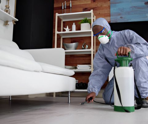 fumigation services